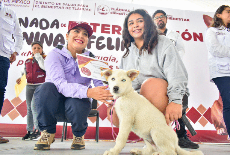 Tláhuac alcanza más de 200 esterilizaciones en favor del bienestar animal