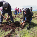 Delfina Gómez impulsa el primer bosque-escuela del EdoMéx con plantación de cinco mil árboles