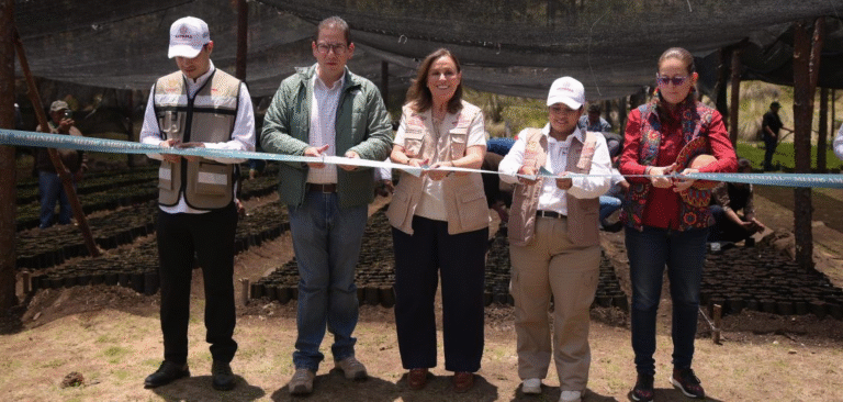 Veracruz lanza “Pulmones Verdes”: programa integral para proteger 30 Áreas Naturales Protegidas