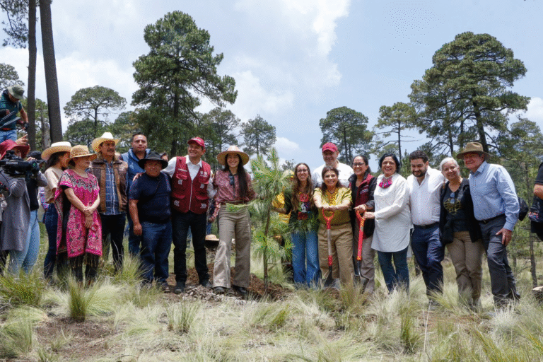 CDMX planta 10 millones de árboles este año: Clara Brugada lanza ambicioso Plan Ambiental por el Día Mundial del Medio Ambiente