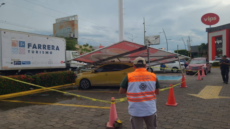 Fuertes lluvias y ráfagas de viento provocan caída de árboles y anegamientos en Tuxtla