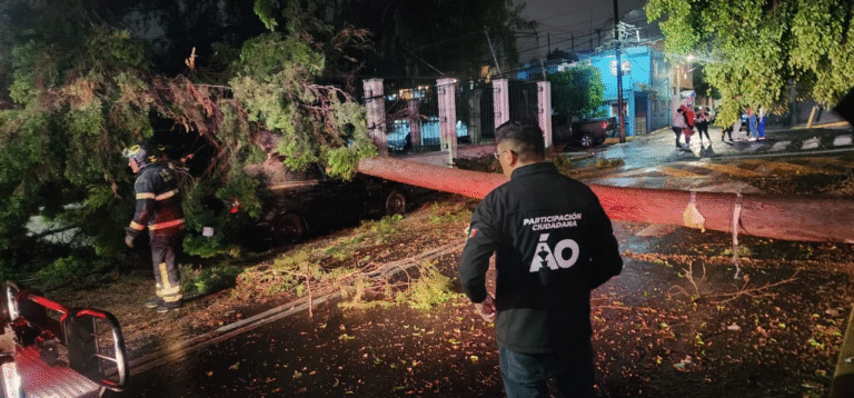 Alcaldía Álvaro Obregón atiende afectaciones por lluvias con operativo interinstitucional