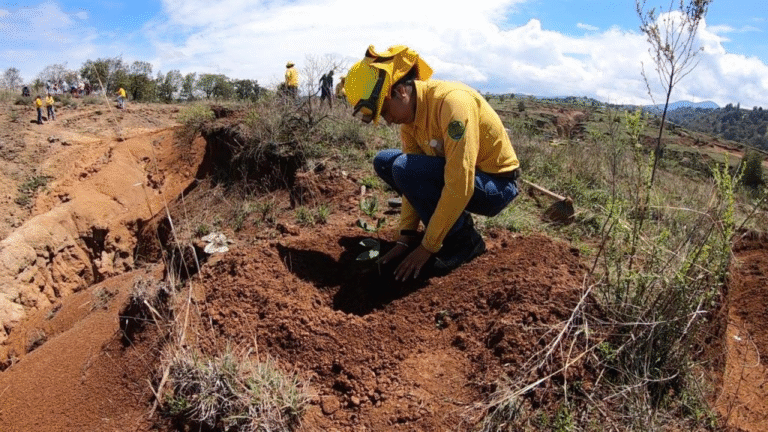 Probosque cumple 35 años reafirmando su compromiso con los bosques mexiquenses