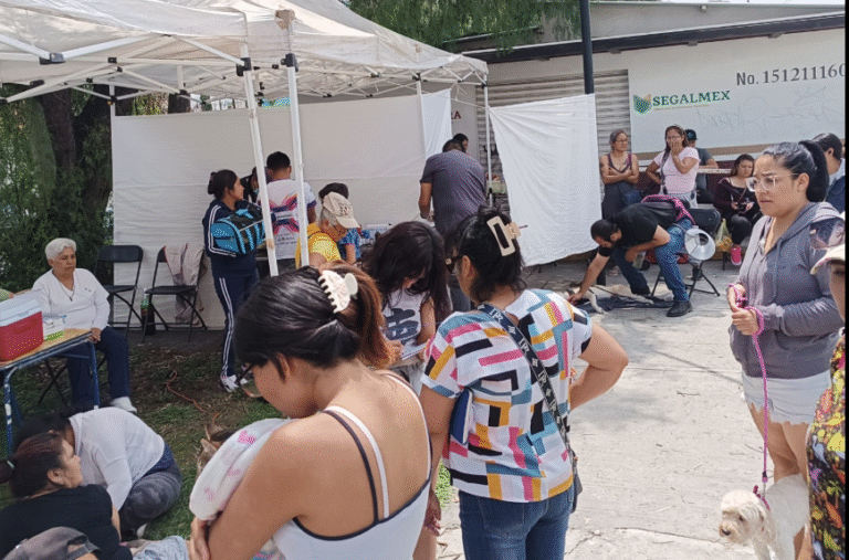 Cuautitlán promueve bienestar animal con jornada de esterilización en Bellavista