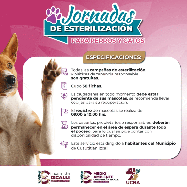 Invita Cuautitlán Izcalli a jornada gratuita de esterilización para mascotas