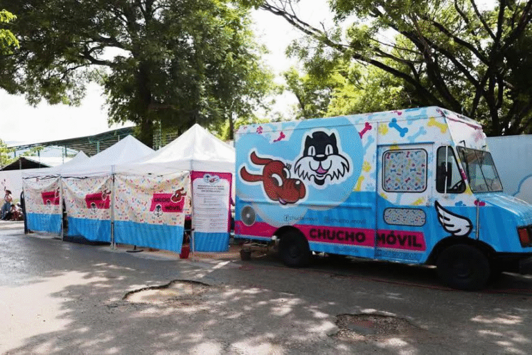 “Chucho Móvil” lleva atención veterinaria gratuita a San José Terán