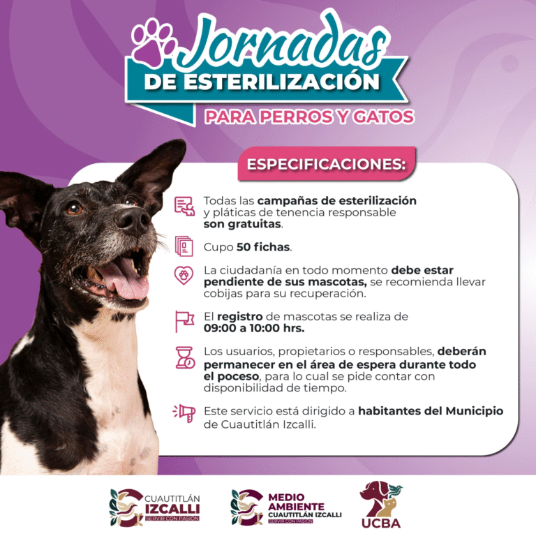 Cuautitlán Izcalli ofrece servicios veterinarios gratuitos para promover el bienestar animal