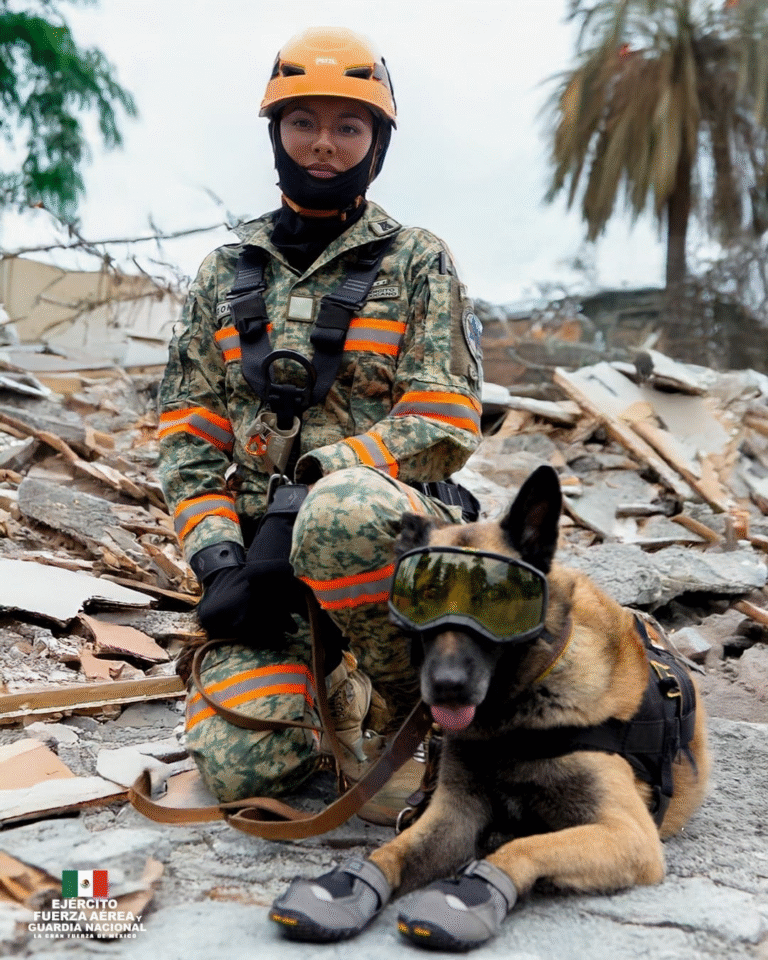 Binomios del Ejército Mexicano salvan vidas en zonas de desastre con el Plan DN-III-E