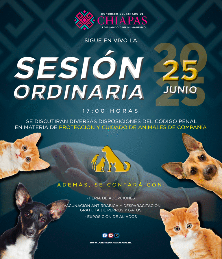 Legisladores de Chiapas discutirán iniciativa para penalizar el maltrato animal