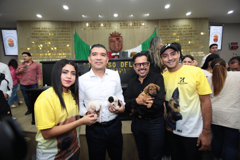 Congreso endurece sanciones para quienes cometan maltrato animal en Chiapas