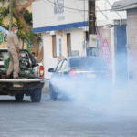 Yucatán elimina más de 110 toneladas de criaderos de moscos con apoyo ciudadano