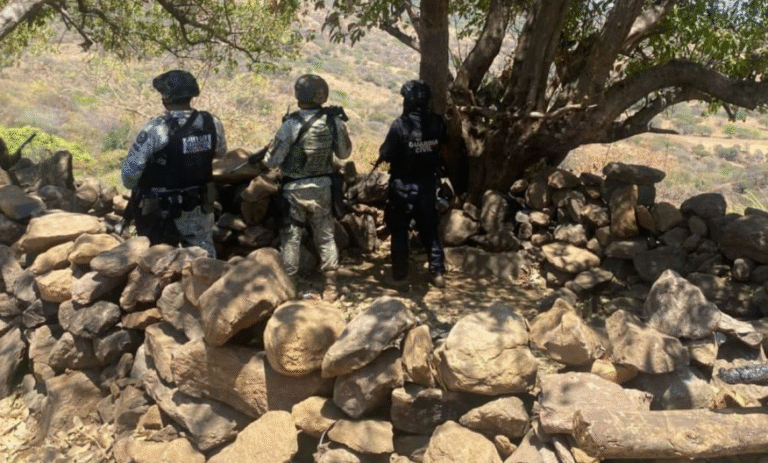 Operativo conjunto en Sinaloa desmantela células de “Los Mayos” y asegura arsenal