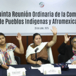 Avalan dictamen que fortalece políticas públicas para jóvenes indígenas y afromexicanos