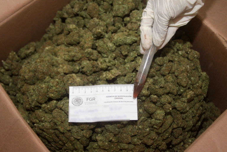 FGR obtiene sentencia contra sujeto por transportar droga y armas de uso exclusivo en Yucatán