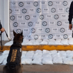 FGR ejecuta 95 cateos y 56 aseguramientos en la zona Noroeste durante junio