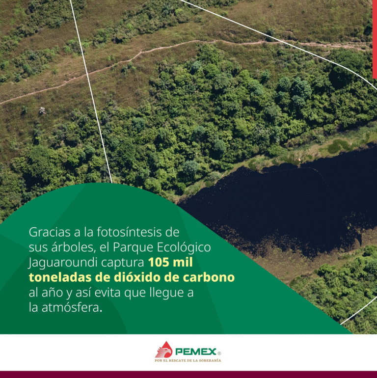 Pemex conmemora el Día del Árbol y destaca su valor ecológico en los ecosistemas
