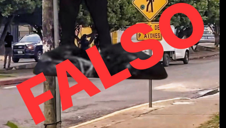 Desmienten hallazgo de restos humanos en fraccionamiento de Tuxtla Gutiérrez