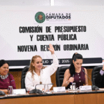 Avanza en Comisión de Presupuesto análisis de leyes sobre protección a candidatos y derechos digitales