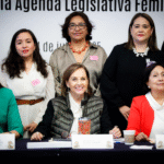 Organizaciones civiles presentan propuestas a senadoras para avanzar en la agenda feminista