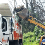 Coordinan Izcalli y Tepotzotlán retiro de árbol que obstruía puente en Río Hondo
