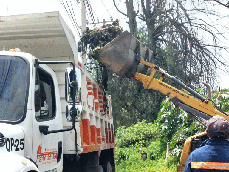 Coordinan Izcalli y Tepotzotlán retiro de árbol que obstruía puente en Río Hondo