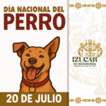 Izúcar de Matamoros conmemora el Día Nacional del Perro y promueve la tenencia responsable