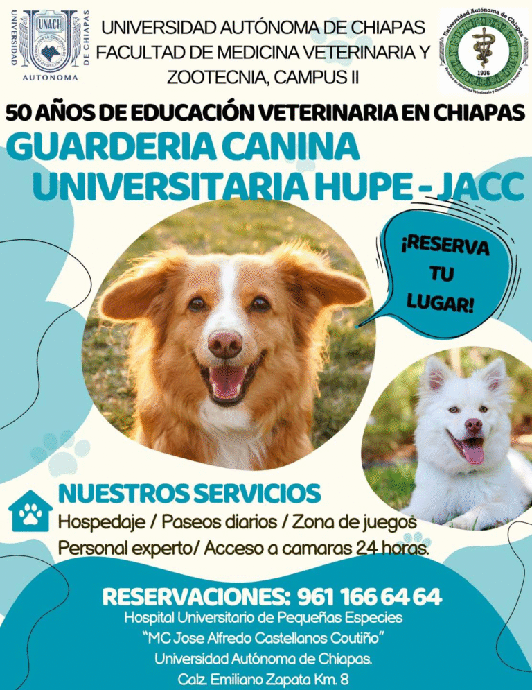 Guardería Canina de la UNACH brinda atención profesional y bienestar a las mascotas