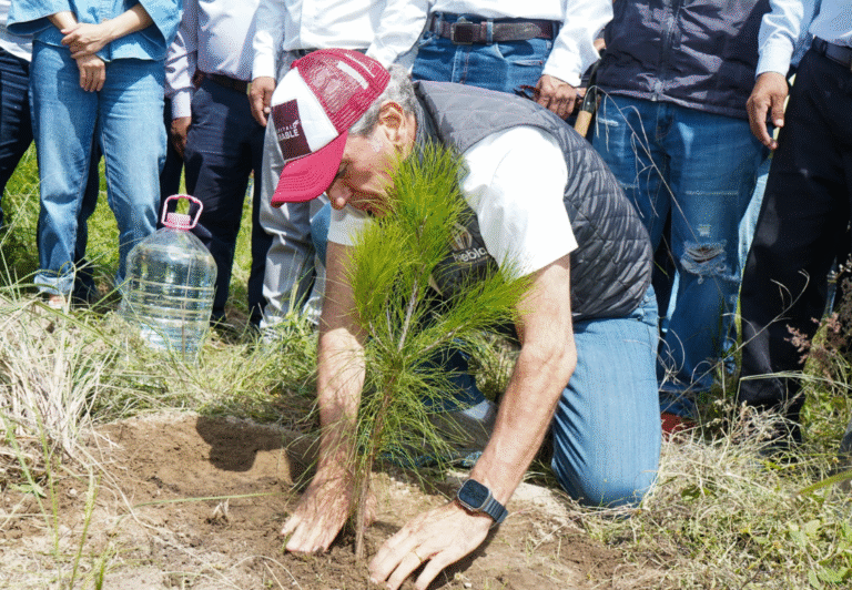 Pepe Chedraui lleva “Raíces del Futuro” a La Resurrección con 2,500 árboles plantados