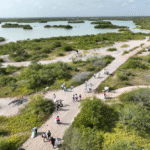 Más de 400 voluntarios limpian manglares en Yucatán y recolectan casi 2 toneladas de residuos