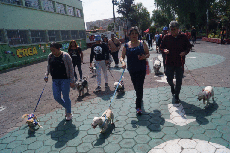 Tláhuac celebra exitosa caminata pet friendly con decenas de lomitos y sus familias