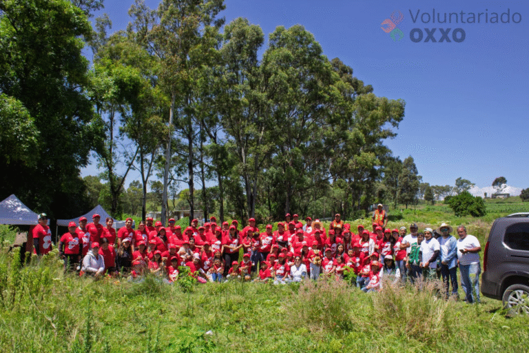 Gobierno de Cholula y OXXO realizan jornada de reforestación en el Cerro Zapotecas
