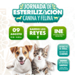 Izúcar de Matamoros realiza jornada de esterilización para perros y gatos en Barrio Los Reyes