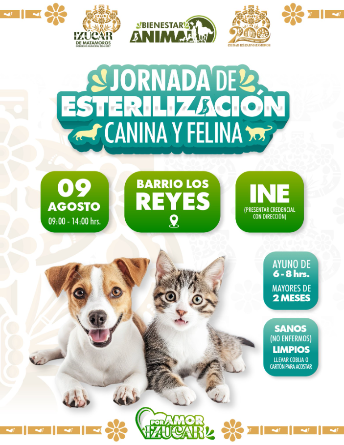 Izúcar de Matamoros realiza jornada de esterilización para perros y gatos en Barrio Los Reyes
