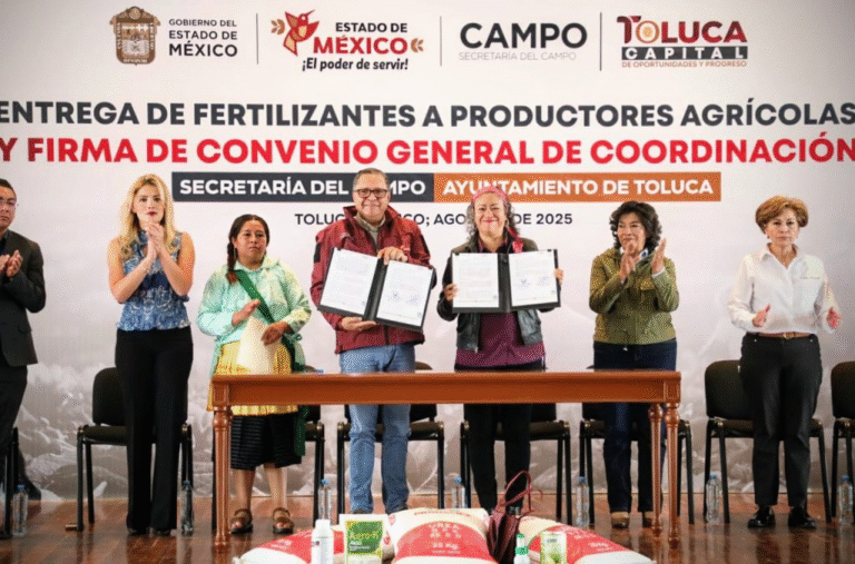 Toluca y Secretaría del Campo impulsan rescate de maíz cacahuazintle y palomero