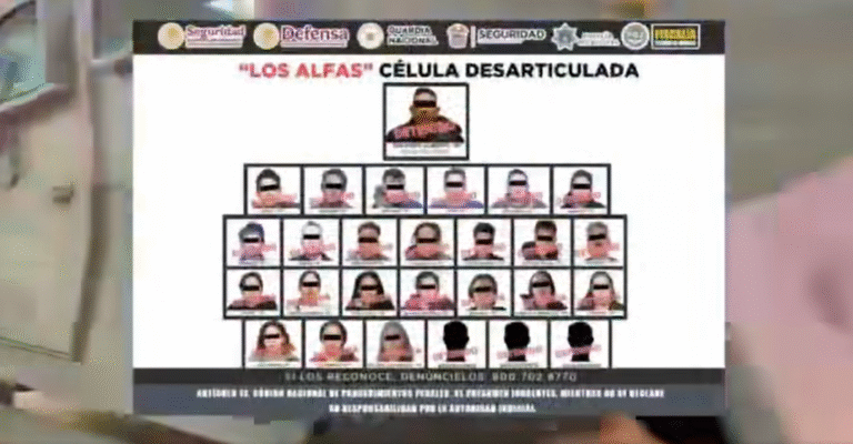 Desarticulan en Toluca célula criminal “Los Alfas”; detienen a 27 integrantes