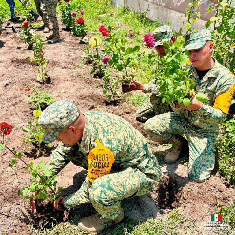 Ejército Mexicano participa en jornadas de reforestación y preservación forestal
