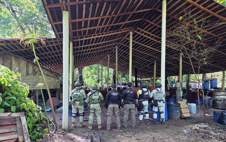 FGR asegura casi una tonelada de metanfetamina en operativo en Palenque, Chiapas