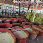 Autoridades federales desmantelan laboratorio de metanfetaminas en Chiapas y aseguran químicos en Guerrero