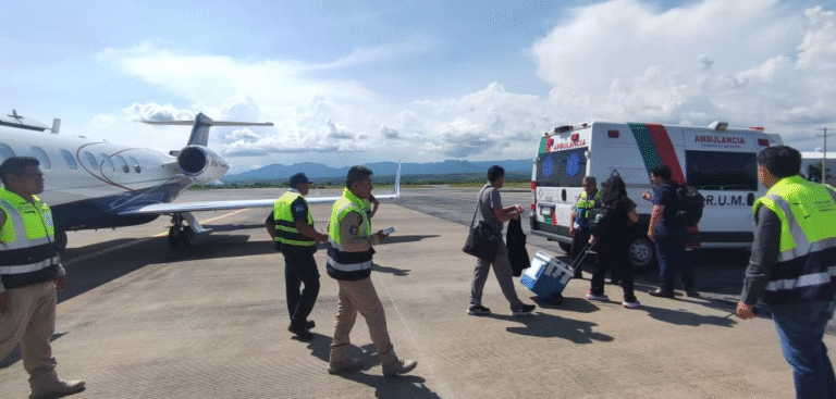 Traslado aéreo de hígado desde Veracruz permite salvar una vida en la CDMX