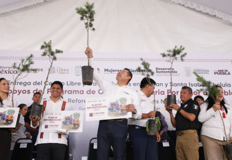 Con reforestación, Gobierno de Armenta construye paz ambiental en Puebla