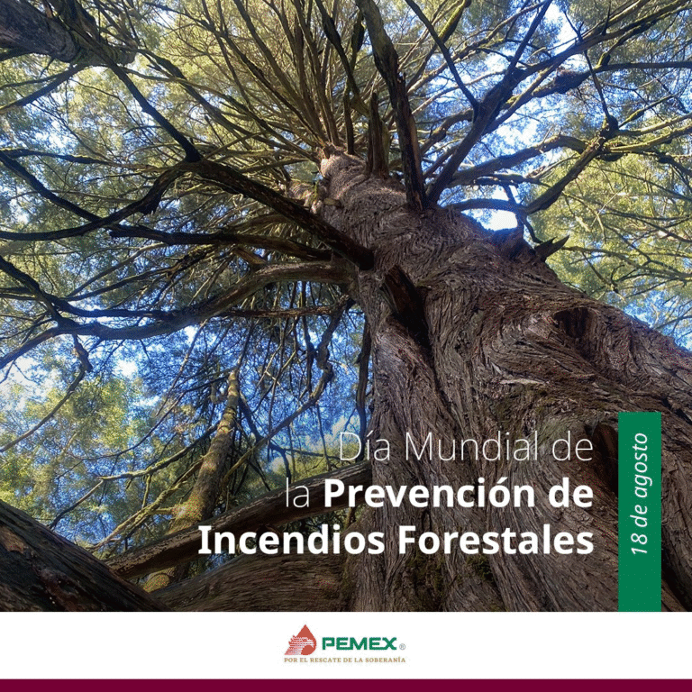 Pemex reafirma compromiso con la seguridad y prevención de riesgos en sus operaciones