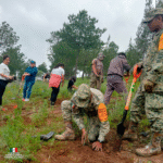 Ejército Mexicano y sociedad civil impulsan reforestación en Ixtapaluca