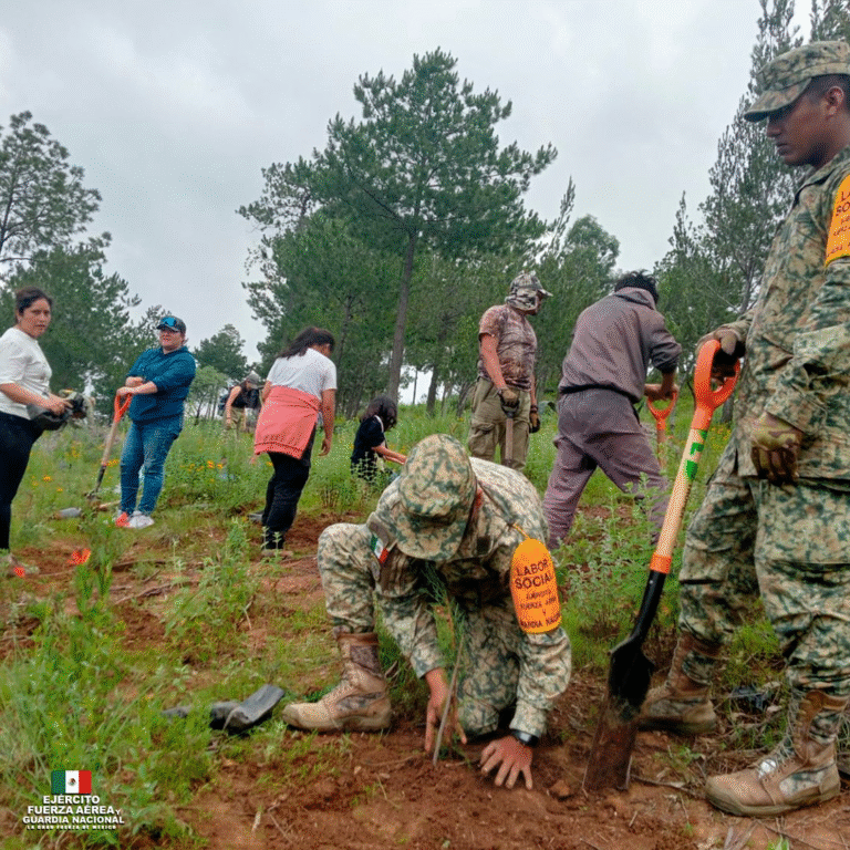 Ejército Mexicano y sociedad civil impulsan reforestación en Ixtapaluca