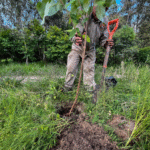 Cuautitlán Izcalli refuerza acciones ambientales con jornada de reforestación en el Lago de Guadalupe
