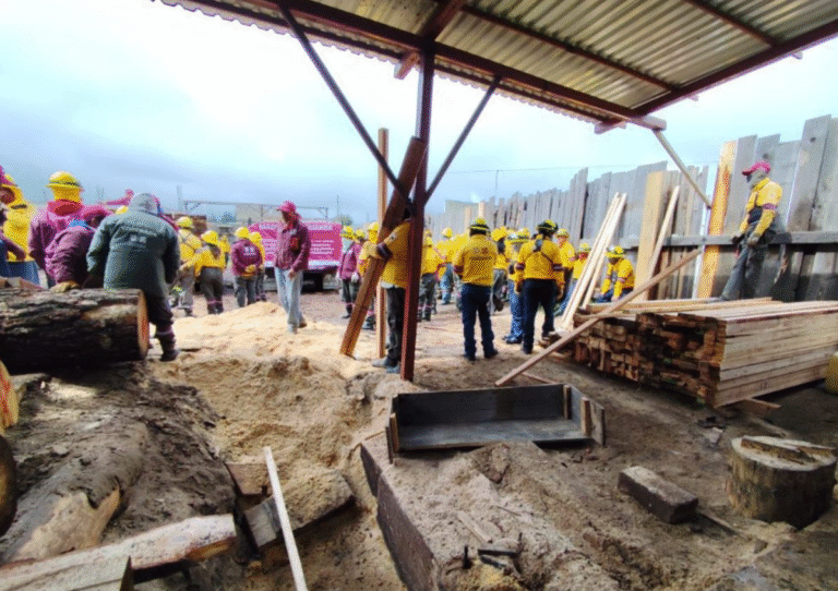 Confiscan tres camiones de madera por tala ilegal en Ocuilan: acción conjunta de los gobiernos federal, estatal y CDMX