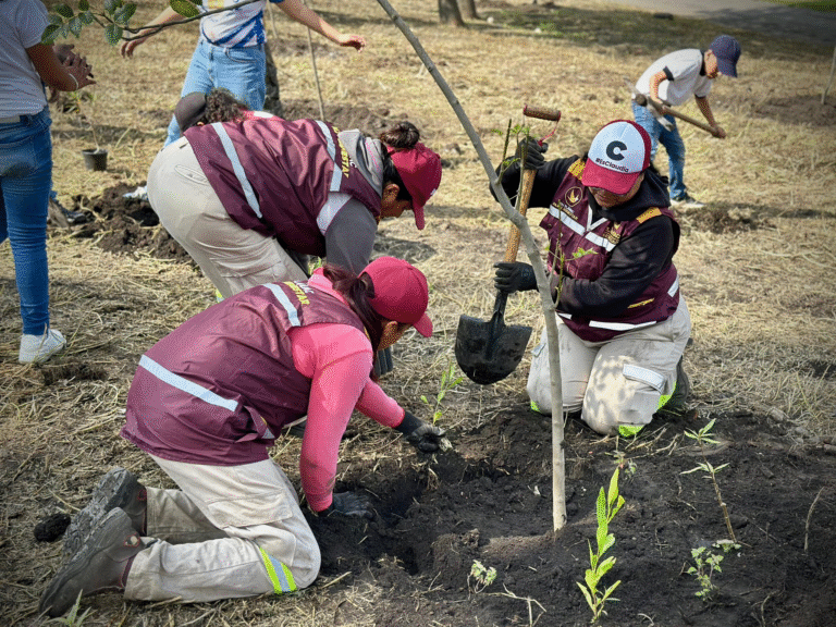Tláhuac realiza jornada de reforestación en el Bosque de la demarcación