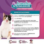 Cuautitlán Izcalli promueve el bienestar animal con jornada gratuita de esterilización