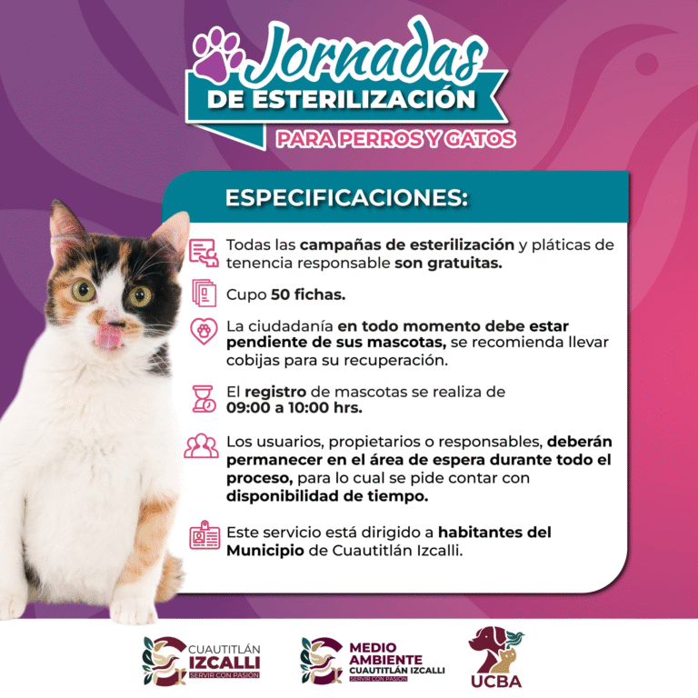 Cuautitlán Izcalli promueve el bienestar animal con jornada gratuita de esterilización