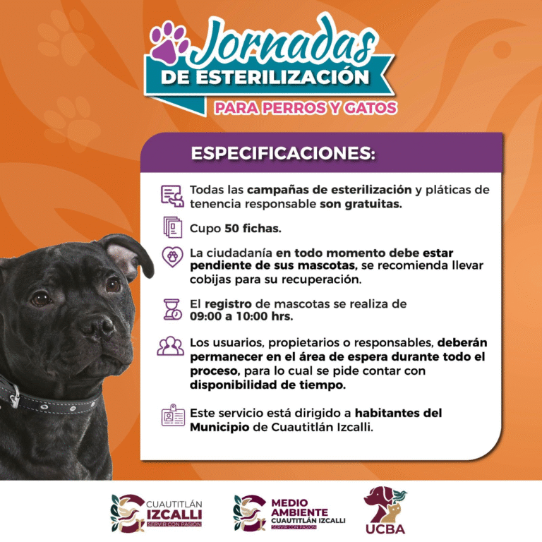 Cuautitlán Izcalli invita a jornada de esterilización para el cuidado responsable de mascotas