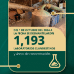 Cada laboratorio desmantelado es un paso hacia un México más seguro: SSPC